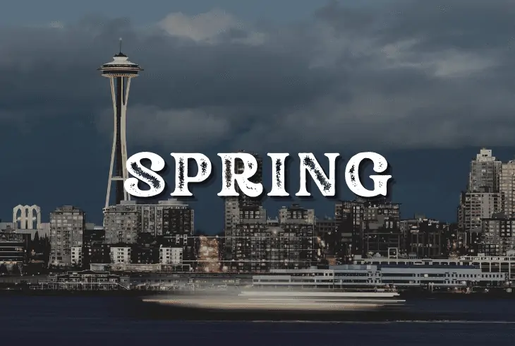 a spring