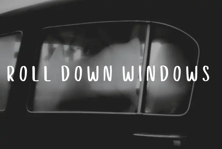 roll down window