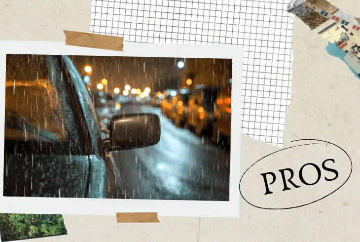 pros on washing car