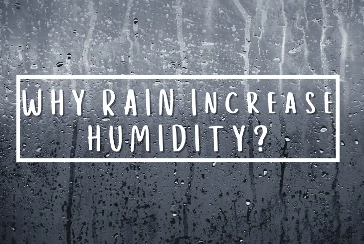 why rain increase humidity