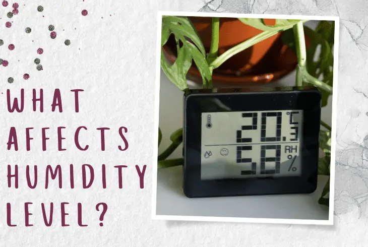 affects humidity level