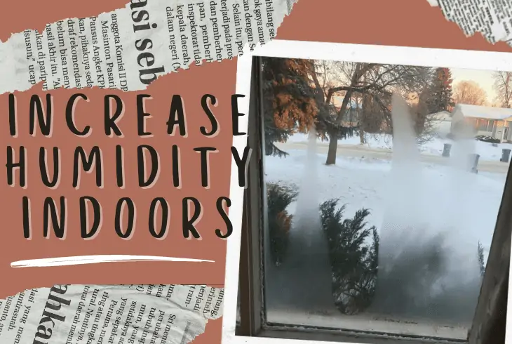increase humidity