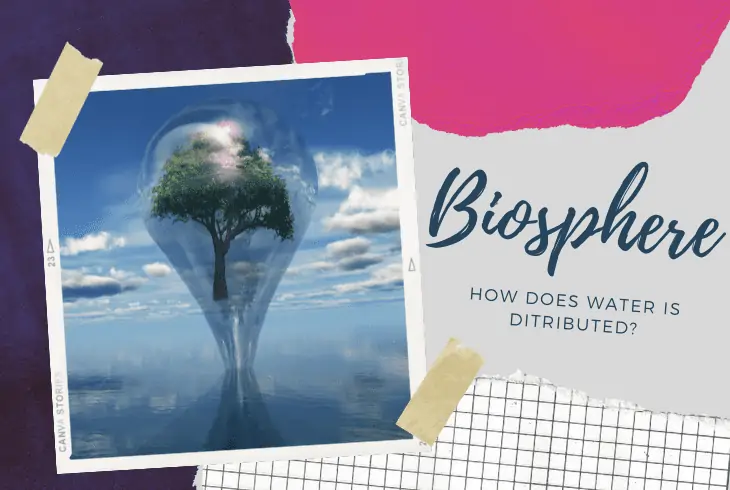 how is water distributed through the biosphere
