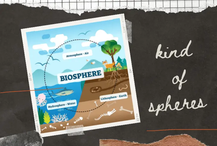 a biospehres