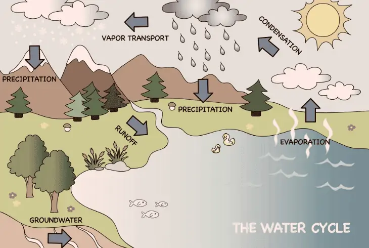 the water cycle process