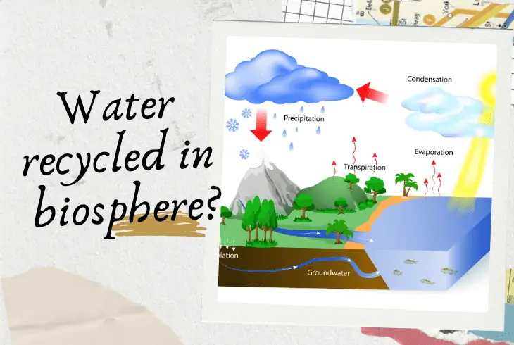 water recycled in biosphere