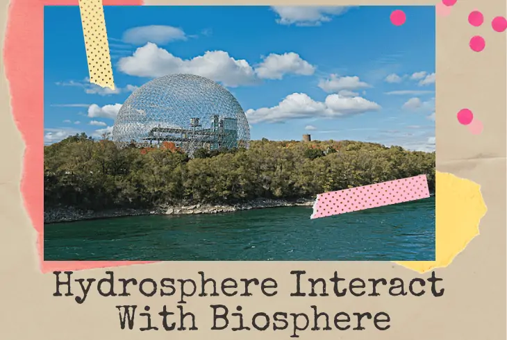 how does the hydrosphere interact with the biosphere