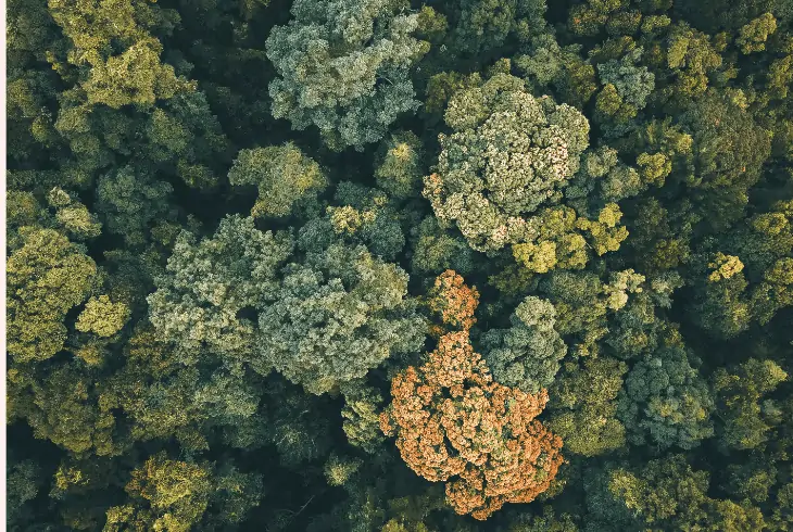 the biosphere