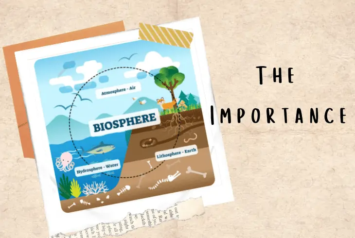 importance of biosphere