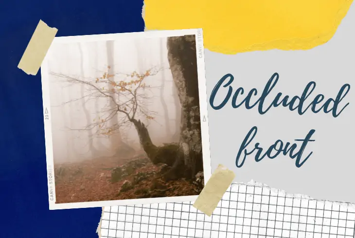 the occluded front