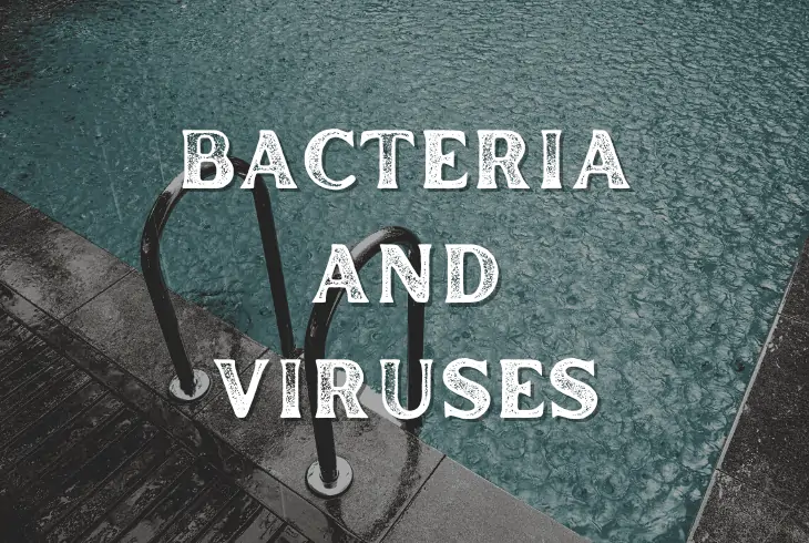 the bacteria parastates and virus
