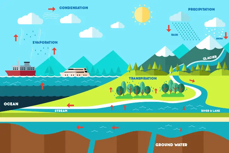 hydrological cycle