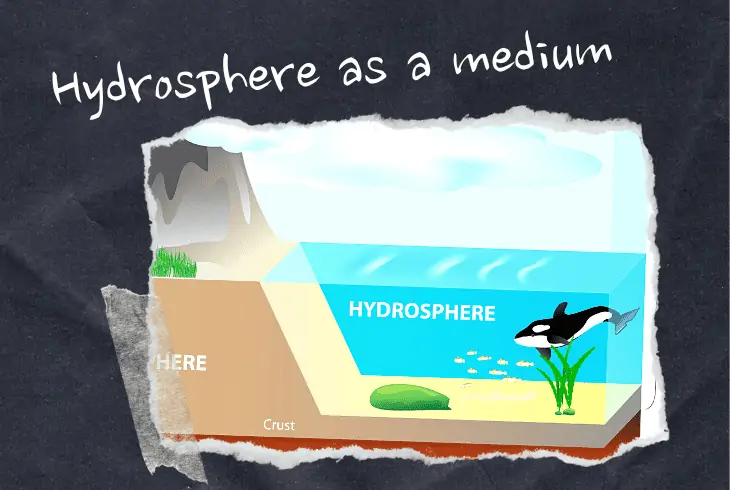 hydrosphere as medium