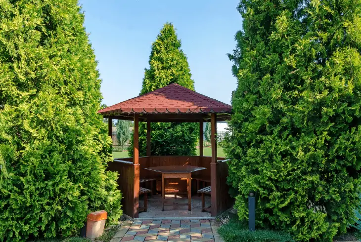 the gazebo