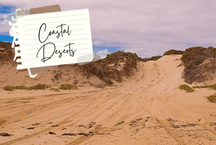 a coastal deserts