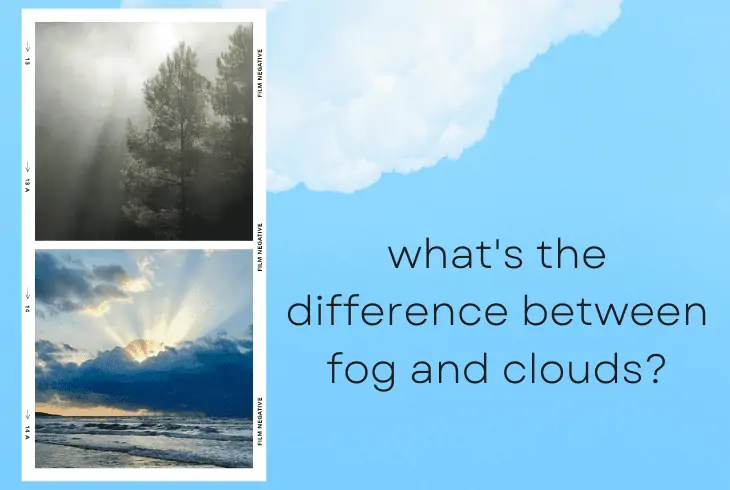 fog and cloud difference