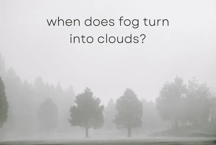 fog to clouds