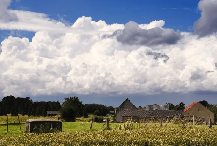 low level cumulus cloud