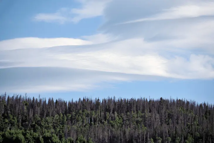 mid level clouds in sky