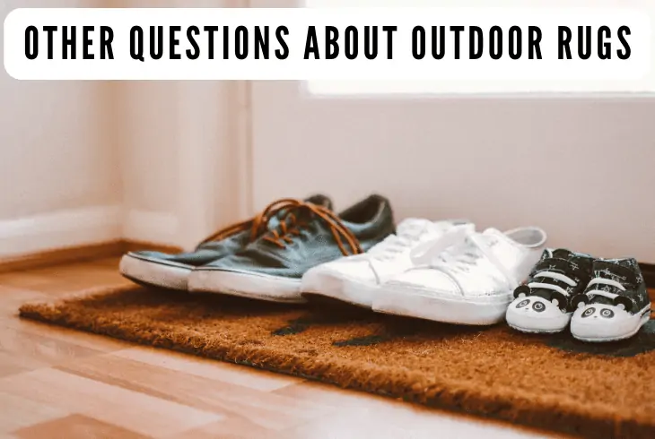 questions outdoor rugs