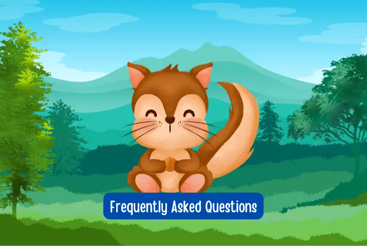 faqs about squirrel