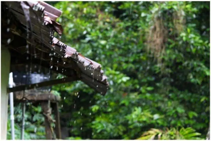 tropical monsoon climate