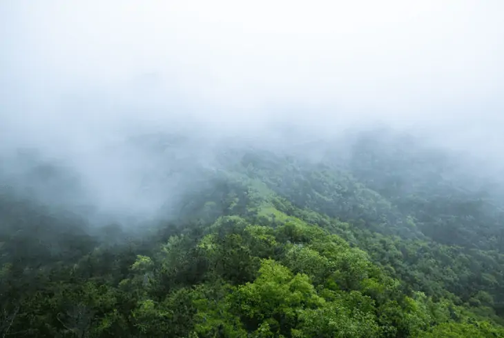 upslope mountain fog
