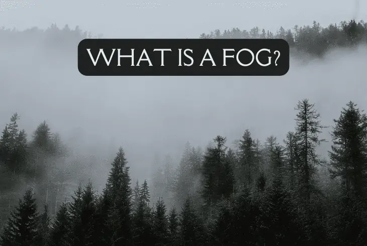 fog definition