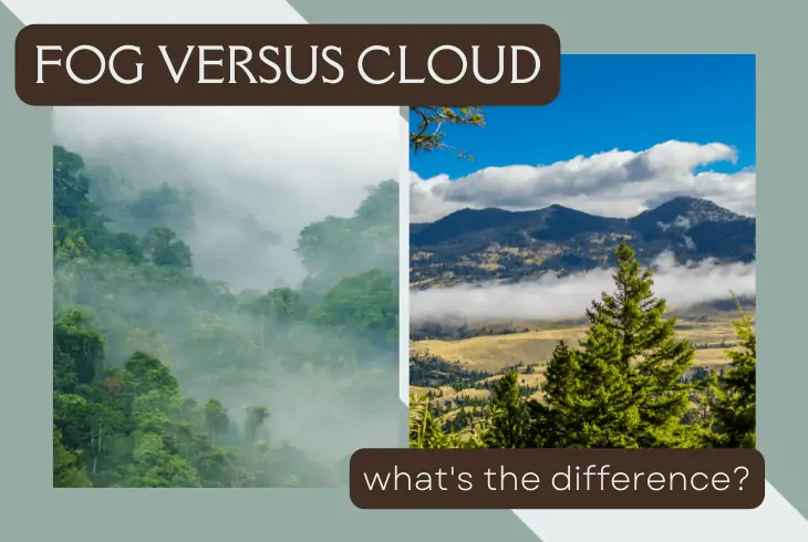 What is the difference between fog and clouds