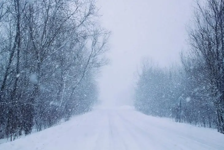 winter wind
