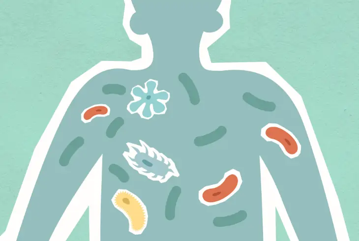 microorganisms