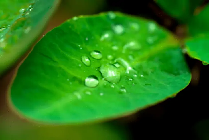 small droplets