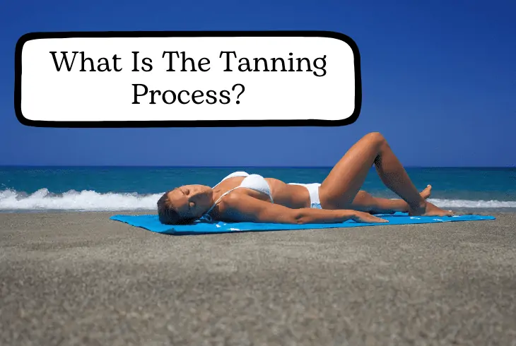 what is tanning process