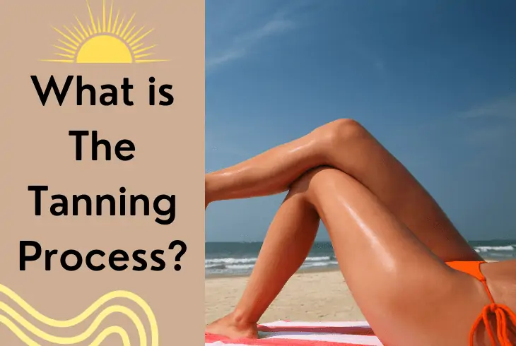 what is tanning process
