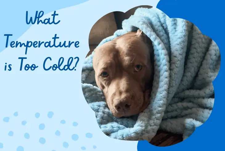 what temperature is too cold