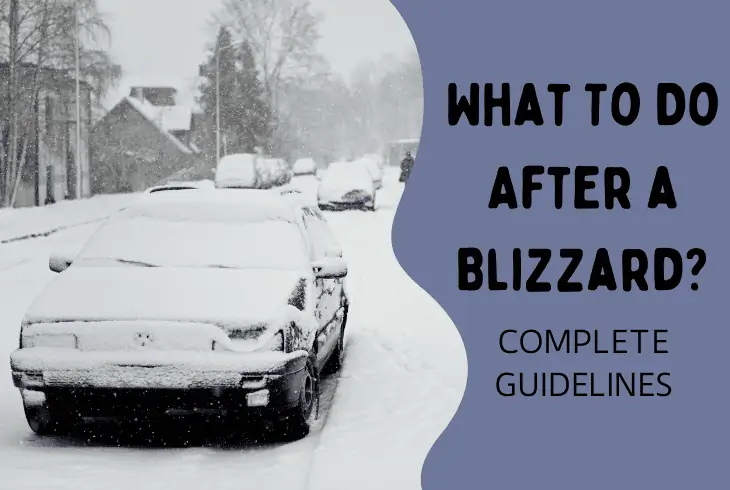what to do after a blizzard