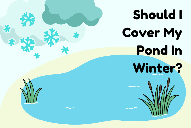should i cover my pond in winter
