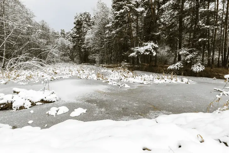 frozen pond