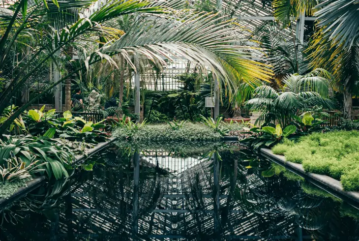 greenhouse pond cover