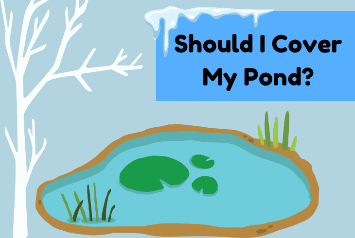cover pond winter