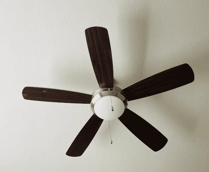 ceiling fan with light