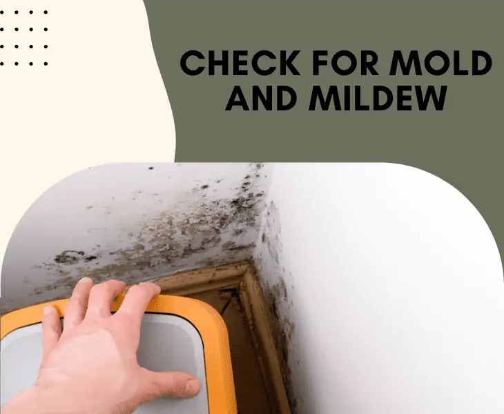 check for molds and mildew