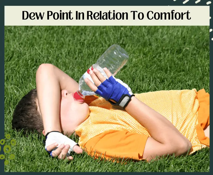dew point to comfort