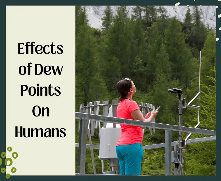 effect of dew point