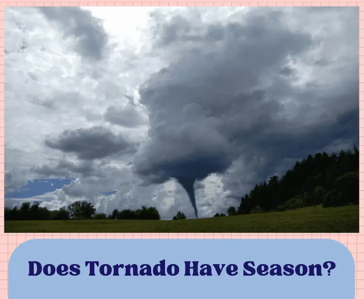 tornado season