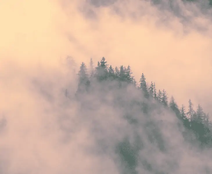 fog cloud formation