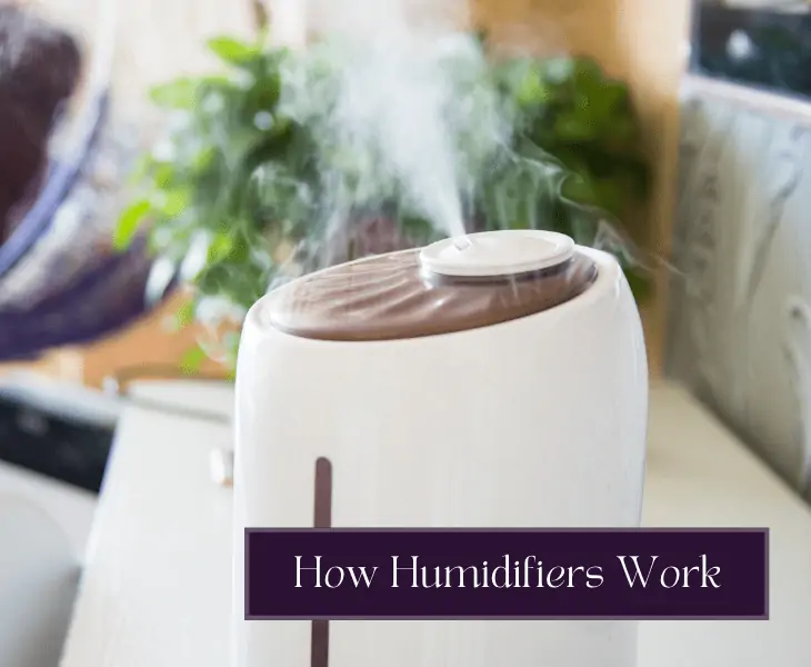 how do humidifiers work
