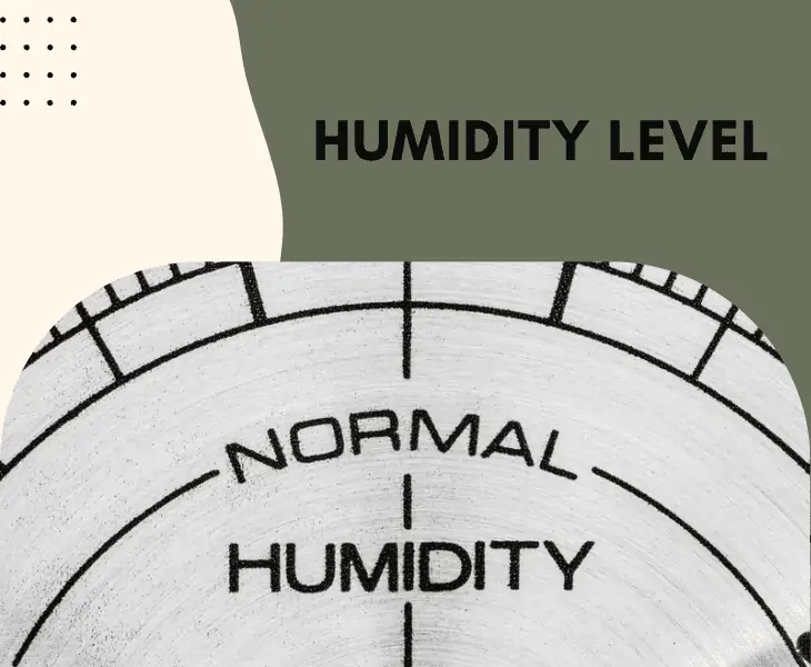 level of humidity
