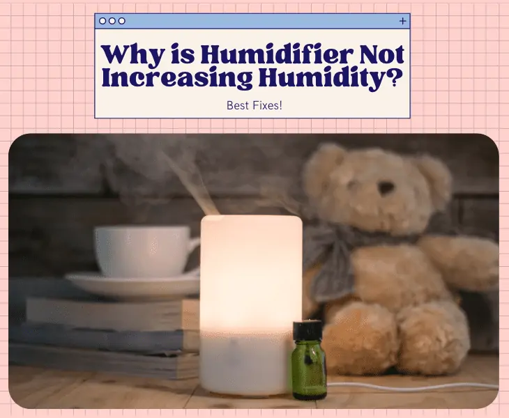 humidifier not increasing humidity