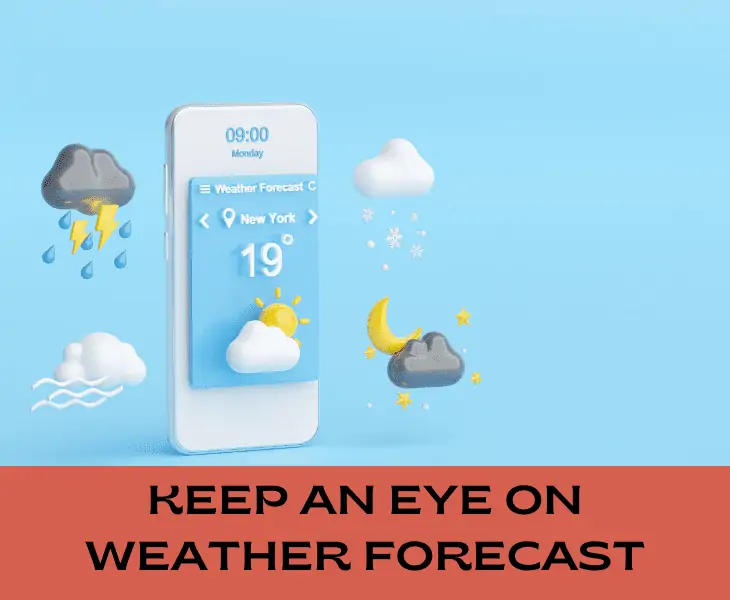 weather forecast